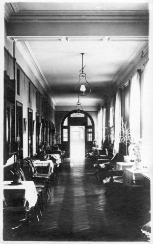 Ward's 15 & 16 corridor